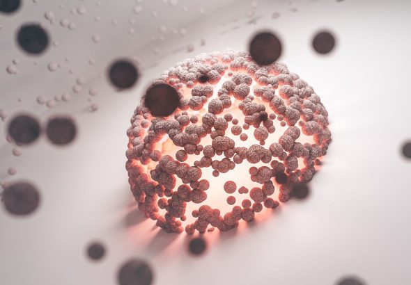 cell fate redirection