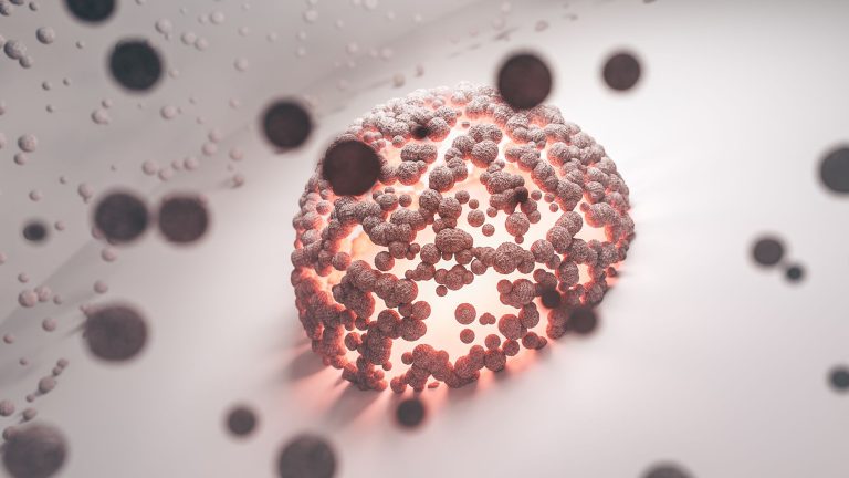 cell fate redirection