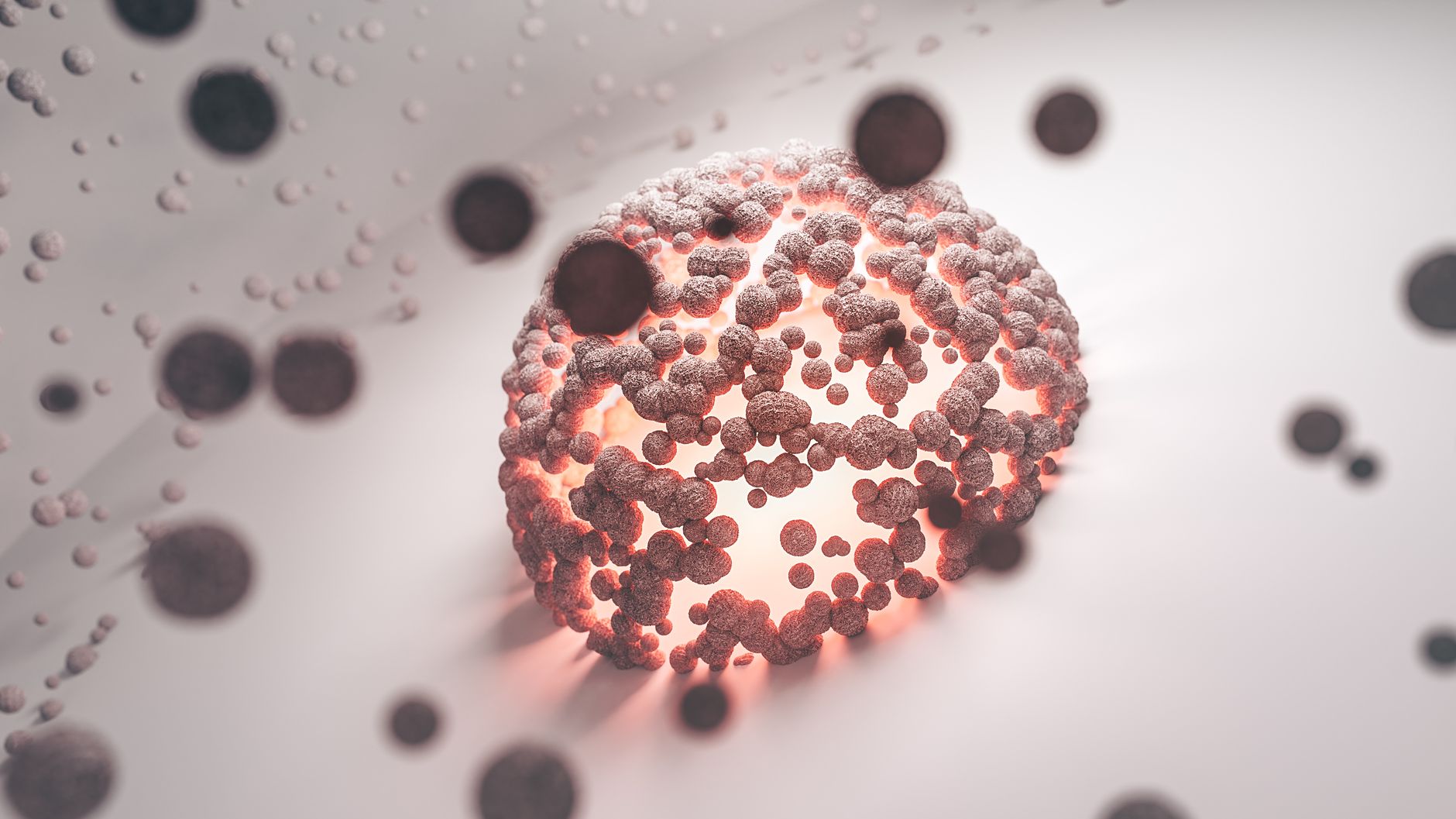 cell fate redirection